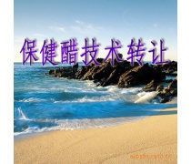 產(chǎn)品庫(kù)技術(shù)轉(zhuǎn)讓 驅(qū)動(dòng)創(chuàng)新與價(jià)值優(yōu)化的戰(zhàn)略路徑